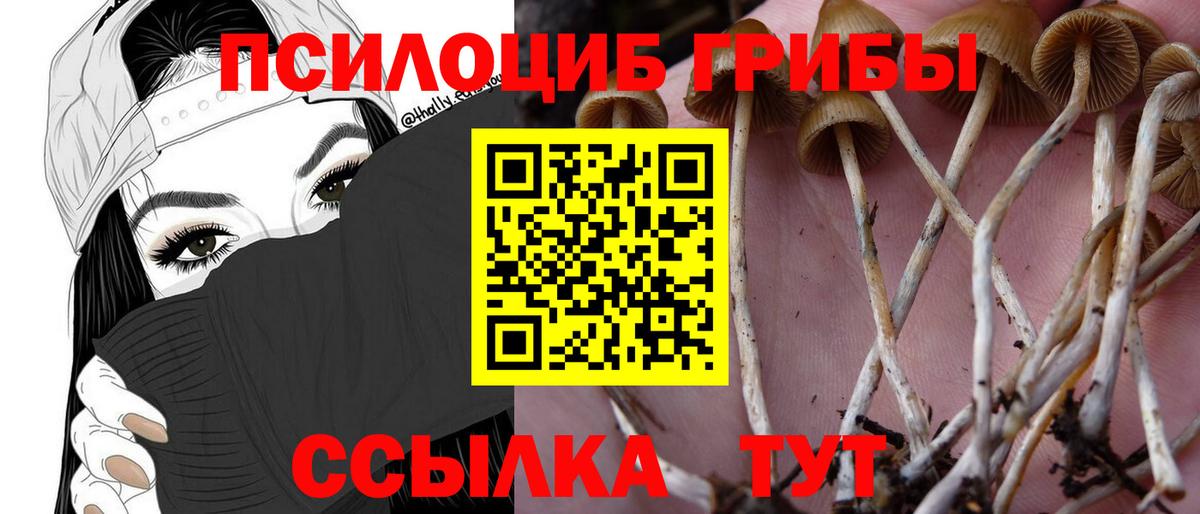 Псилоцибиновые грибы GOLDEN TEACHER Кудрово